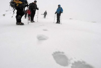 Uludağ’da şaşkına çeviren ayak izleri