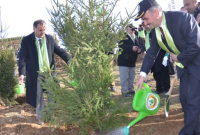 Dönüşümün gerçekleşeceği alana kadar orman yapılacak
