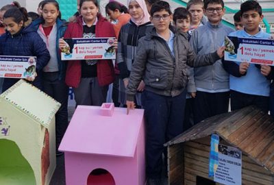 Küçük dostlarını ‘ev’lendirdiler