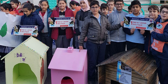 Küçük dostlarını ‘ev’lendirdiler