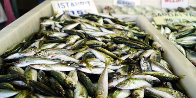 Tezgahın gözdesi istavrit