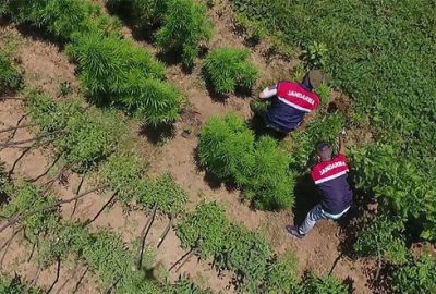Jandarmadan 2017’de uyuşturucu satıcılarına darbe vurdu