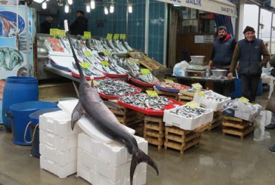 Çanakkale’de yakalandı Mudanya’ya getirildi