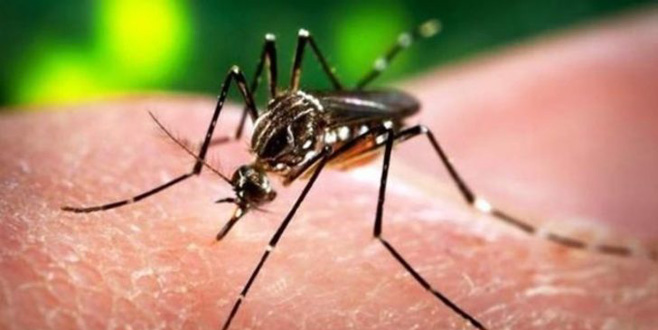 Sağlık Bakanı’ndan Zika açıklaması
