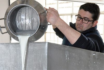 Litresi 5 TL olan süt yok satıyor