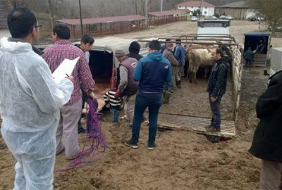 Genç çiftçilere destek