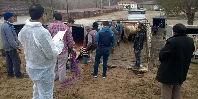 Genç çiftçilere destek