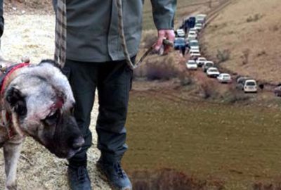 Dehşet konvoyu! 7 ilden gelen 100 kişi dağlık bölgede..