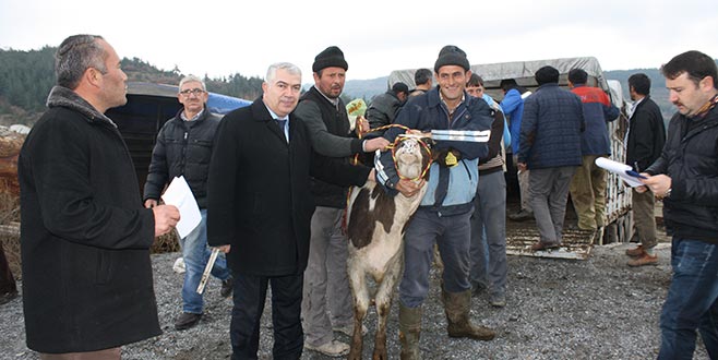 Orhanelili genç çiftçiye destek