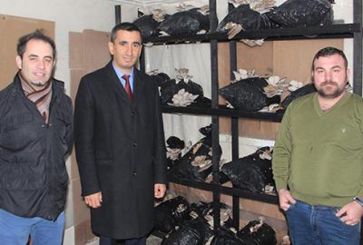 Mantar yetiştiriciliği ek gelir kapısı oldu