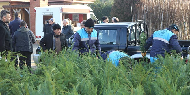 Ücretsiz fidana yoğun ilgi