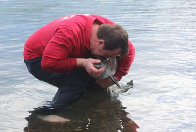 Yaralı yunusa suni teneffüs