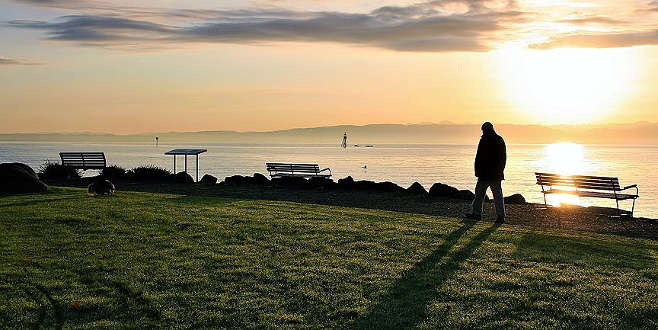 ‘Yalnızlıktan Sorumlu Bakanlık’ kurdular ‘Yalnızlıktan Sorumlu Bakanlık’ kurdular