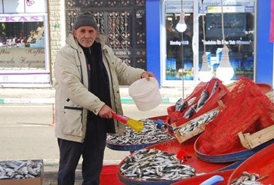 Gemlikli balıkçı endişeli