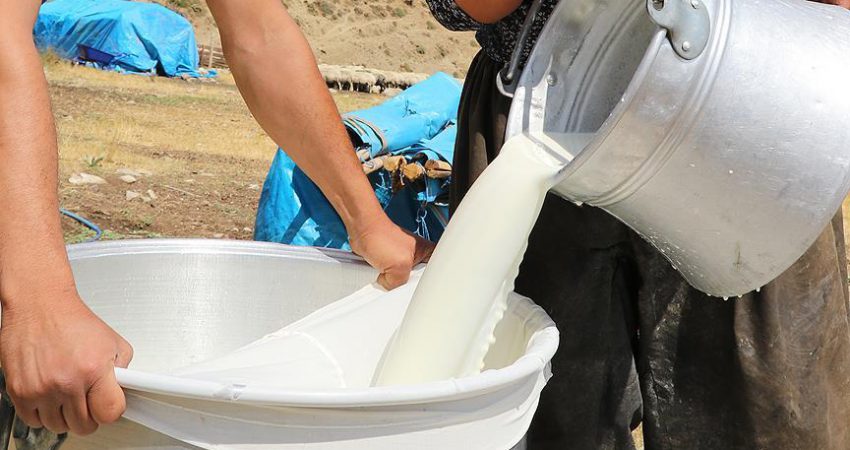 Ulusal Süt Konseyinin yaptığı artışla çiğ sütün litre fiyatının 1