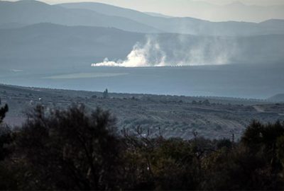 Harekatın adı ‘Zeytin Dalı’