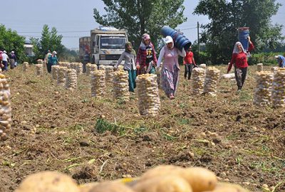 ‘Desteklemeler köye dönüşü sağlıyor’