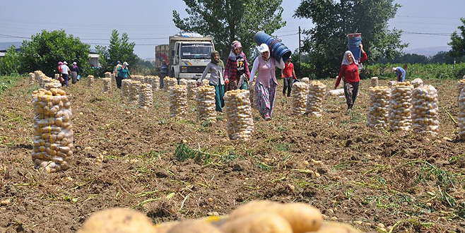 ‘Desteklemeler köye dönüşü sağlıyor’