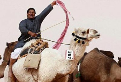 Suudi Arabistan’da botokslu develer yarışmadan ihraç edildi!