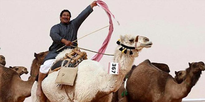 Suudi Arabistan’da botokslu develer yarışmadan ihraç edildi!