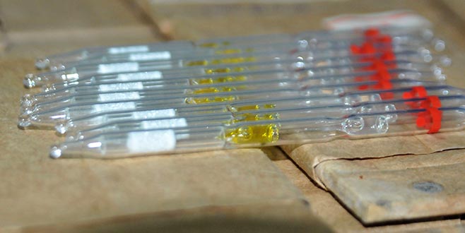 6 milyon lira değerinde ‘kobra zehiri’ ile yakalandılar 6 milyon lira değerinde ‘kobra zehiri’ ile yakalandılar