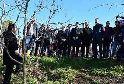 25 çiftçiye meyve budama sertifikası