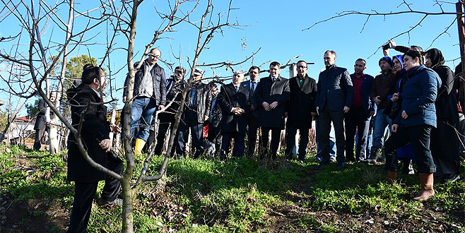 25 çiftçiye meyve budama sertifikası