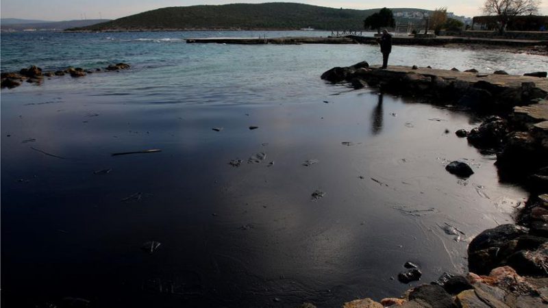 Çevre ve Şehircilik Bakanı Özhaseki, geçen yıl 52 bin 41