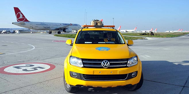 Pilotlara pas geçirten köpekler için tim kuruldu