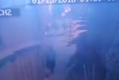 Herkesi bıktırdı! Kameralara bile aldırış etmiyor