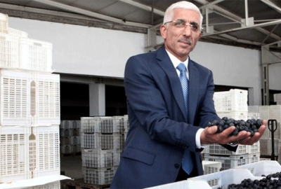 Marmarabirlik tüm zamanların rekorunu kırdı