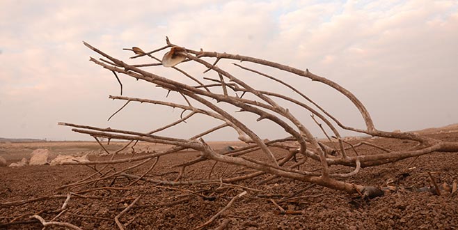 ‘Türkiye yağmur hasadına gitmeli’