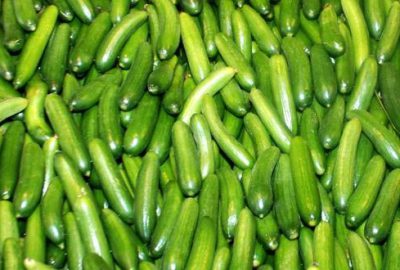 Ocakta en fazla salatalığın fiyatı arttı