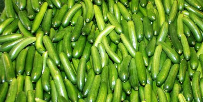 Ocakta en fazla salatalığın fiyatı arttı