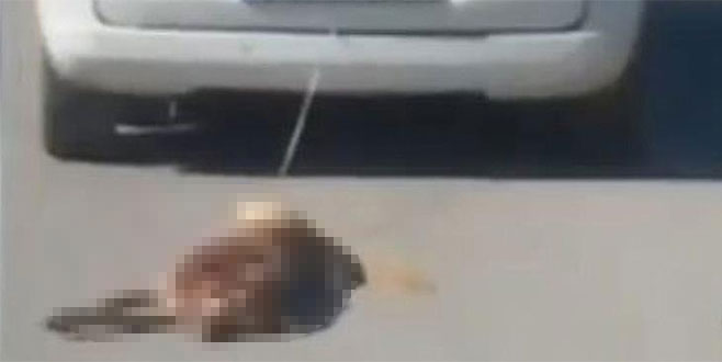 Telef olan köpeğini aracıyla sürükleyen kişiye para cezası