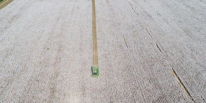 Ürün İhtisas Borsası’nda geri sayım