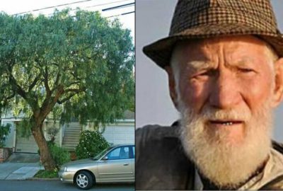 Yaşlı doğaseverin belediyeden inanılmaz intikamı