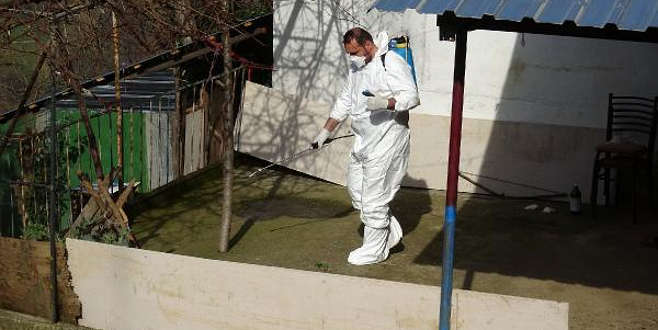 Trabzon’da şarbon paniği Trabzon’da şarbon paniği