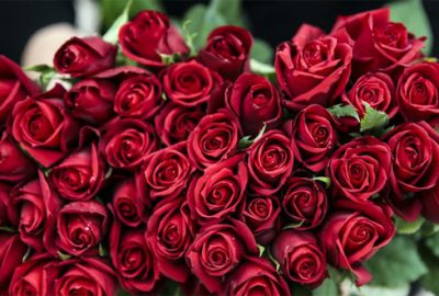 10 milyar lira ciro bekliyor