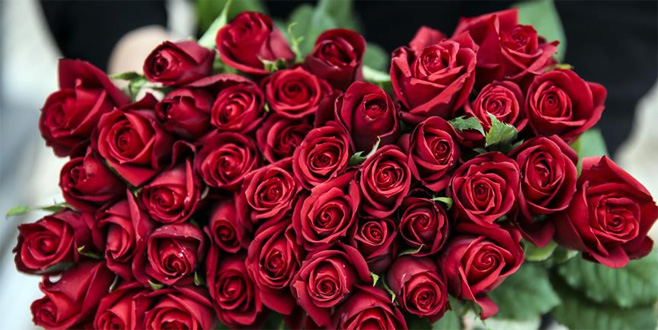 10 milyar lira ciro bekliyor