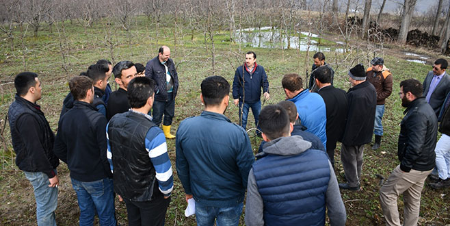 Çiftçiye meyve budama eğitimi