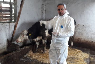 Karantina kaldırıldı! Hayvan pazarı yeniden açılıyor