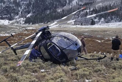 Helikoptere geyik çarptı