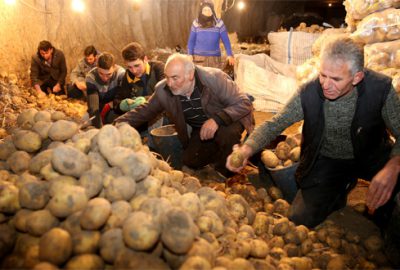 Depoda kalan patates için teşvik talebi