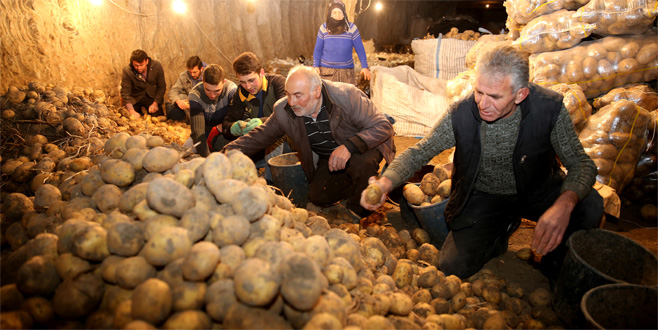 Depoda kalan patates için teşvik talebi