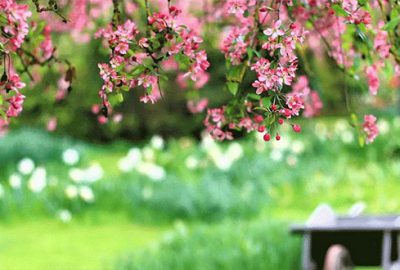 Cemre ne zaman düştü? İlk Cemre ne zaman düşer?