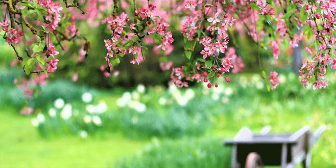 Cemre ne zaman düştü? İlk Cemre ne zaman düşer?