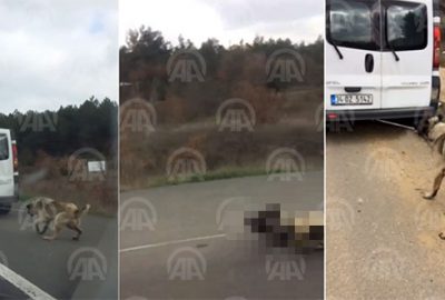 Hareket halindeki araca bağladığı köpeği sürükleyip götürdü