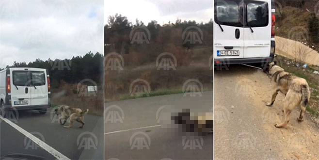 Hareket halindeki araca bağladığı köpeği sürükleyip götürdü