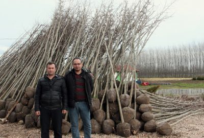 Fidana talep hızla artıyor